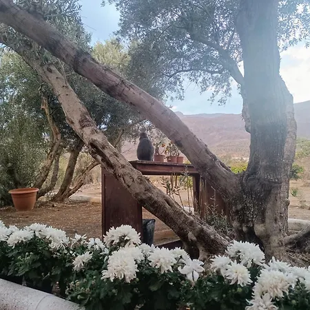 Frühstückspension La Casa De La Pradera Santa Lucía