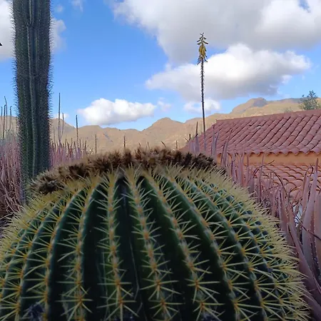 La Casa De La Pradera * Santa Lucia De Tirajana