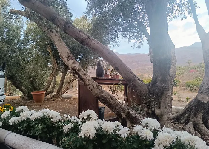 לינה וארוחת בוקר La Casa De La Pradera Santa Lucia